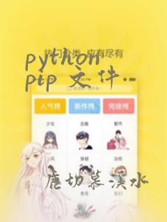 python pip 文件