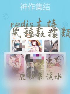 redis支持几种数据类型