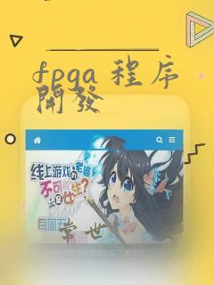 fpga 程序开发