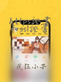 https证书和ssl证书