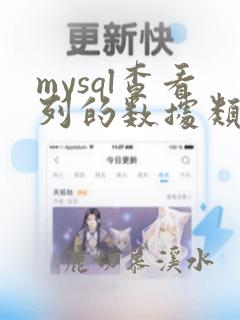 mysql查看列的数据类型