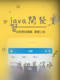java开发实习