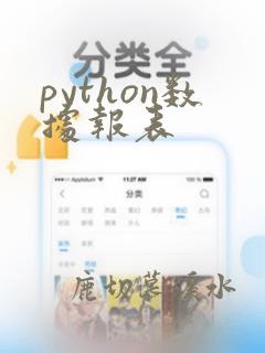 python数据报表