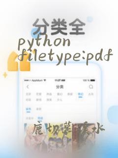 python filetype:pdf
