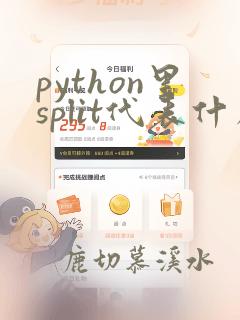 python里split代表什么