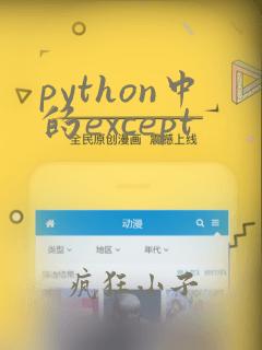 python中的except