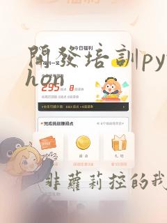开发培训python