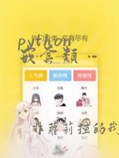 python 嵌套类