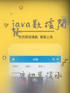 java数据开发