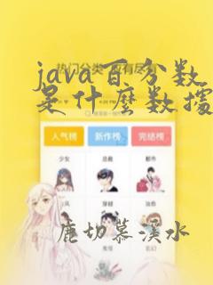 java百分数是什么数据类型