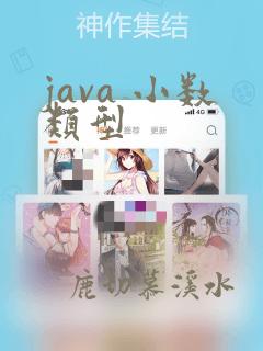 java 小数类型
