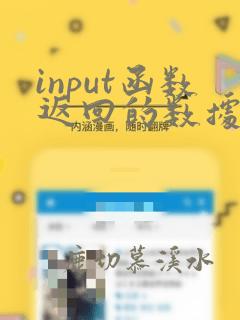 input函数返回的数据类型为
