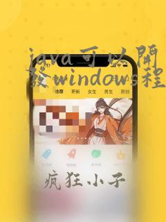 java可以开发windows程序吗