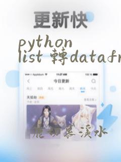 python list 转dataframe