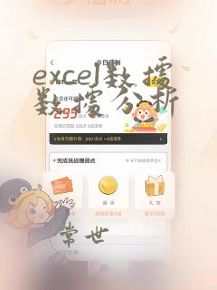 excel数据数据分析