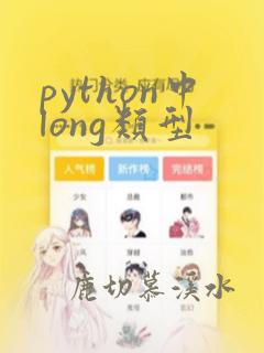 python中long类型