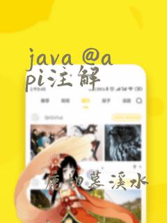 java @api注解