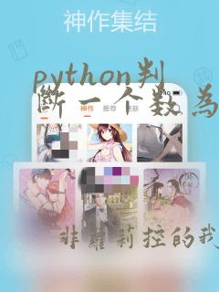 python判断一个数为整数