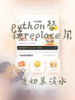 python替换replace用法