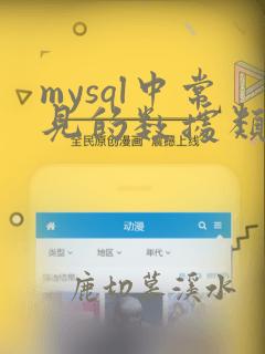 mysql中常见的数据类型