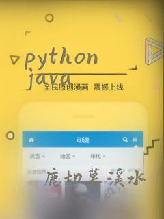 python java