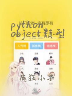 python object类型