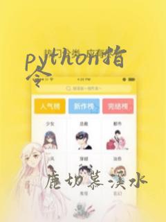 python指令