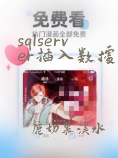 sqlserver插入数据