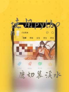 使用python