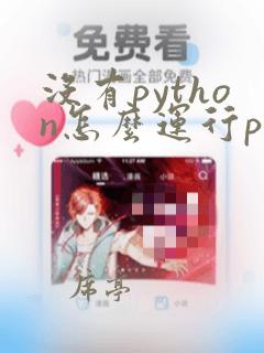没有python怎么运行py
