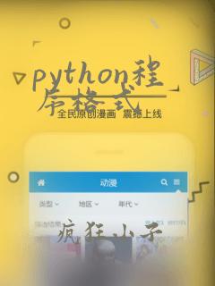 python程序格式