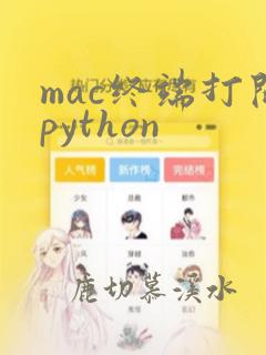 mac终端打开python