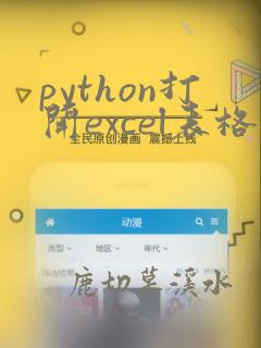 python打开excel表格