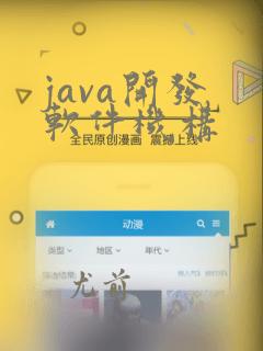 java开发 软件机构
