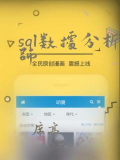 sql数据分析师
