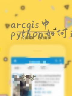 arcgis中python如何运行