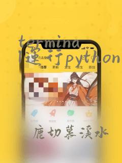 terminal运行python文件