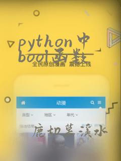 python中bool函数