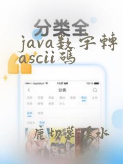 java数字转ascii码