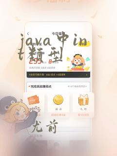 java中int类型