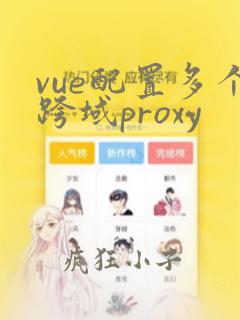 vue配置多个跨域proxy