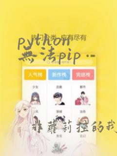 python 无法pip