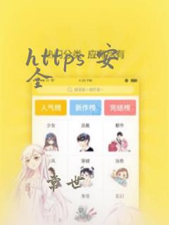 https 安全