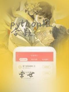 python组合数