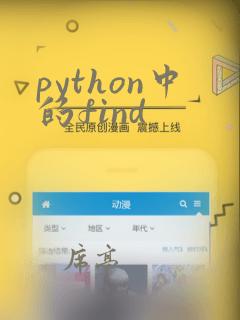 python中的find