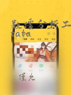 数据分析工具stata
