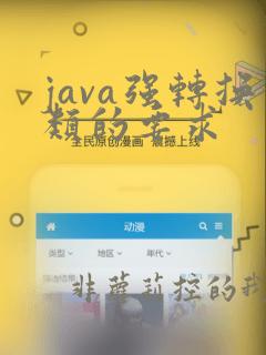 java强转换类的要求