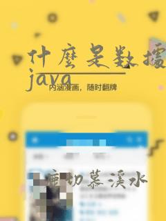 什么是数据结构java