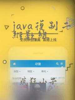 java复制二维数组