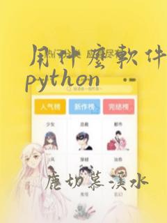 用什么软件运行python